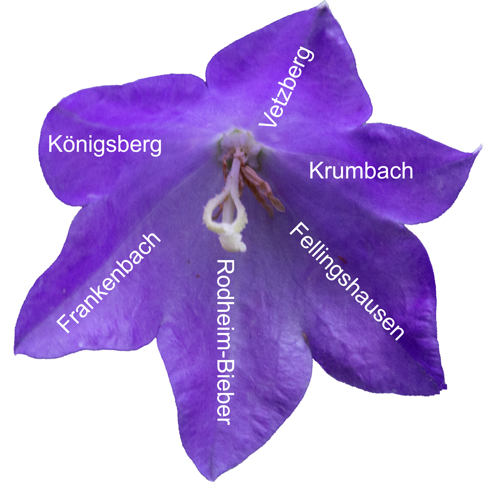 Geschichte